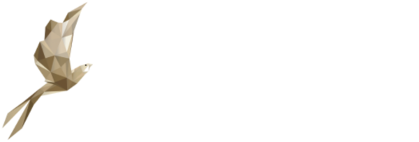Layang Layang Flying Academy